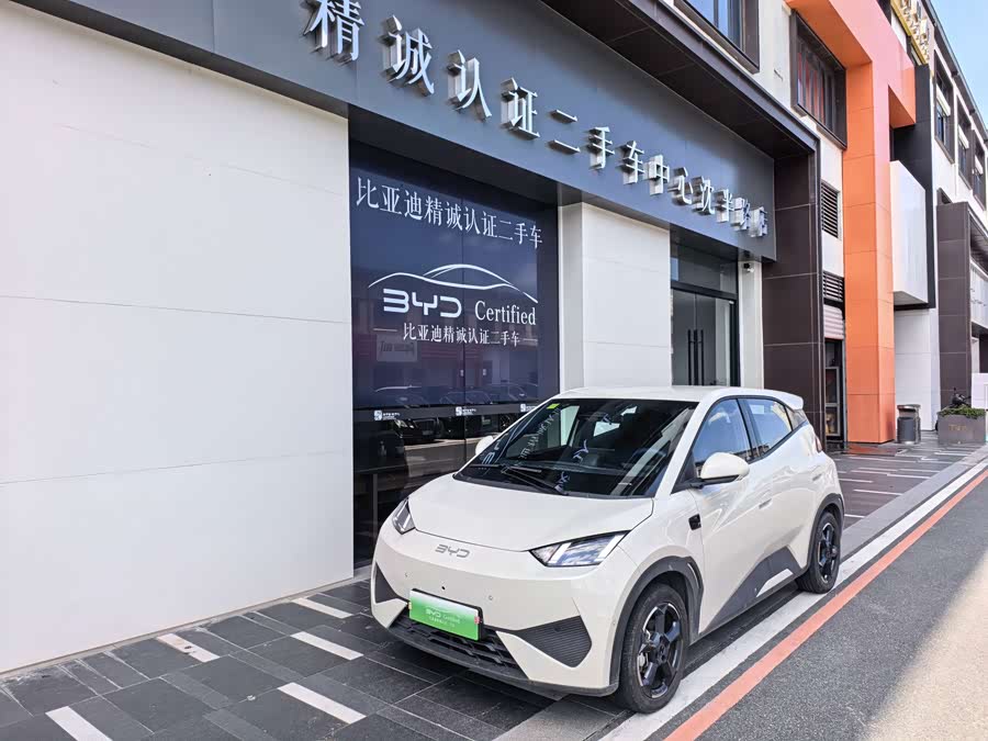 Seagull 2025 Smart Drive 305km Freedom - zdjęcie 1