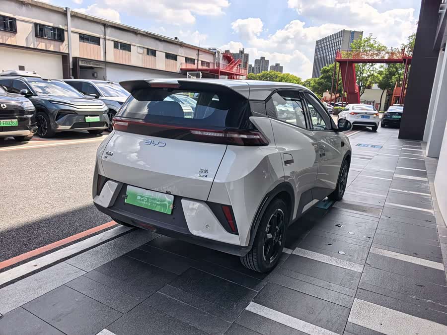 Seagull 2025 Smart Drive 305km Freedom - zdjęcie 6