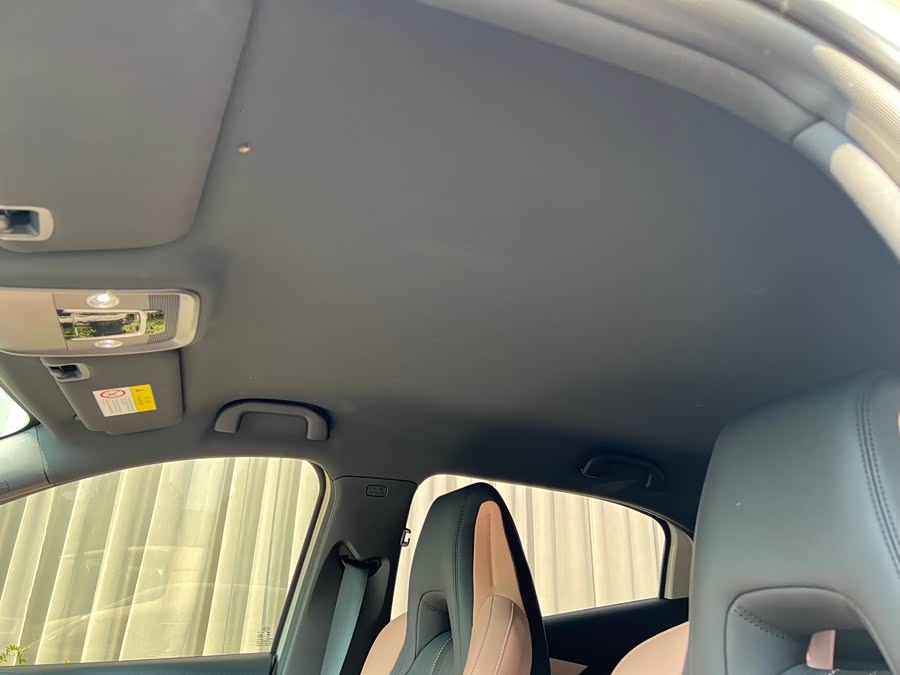 Seagull 2025 Smart Driving 405km Free Version - zdjęcie 13