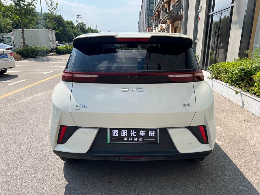 Seagull 2025 Smart Driving 405km Free Version - zdjęcie 8