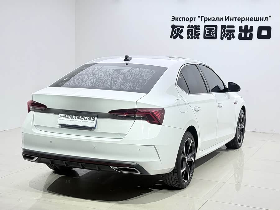 Skoda 2022 PRO TSI280 Luxury - zdjęcie 6