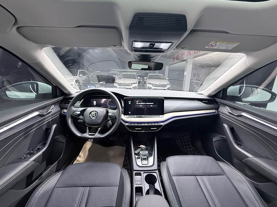 Skoda 2022 PRO TSI280 Luxury - zdjęcie 10