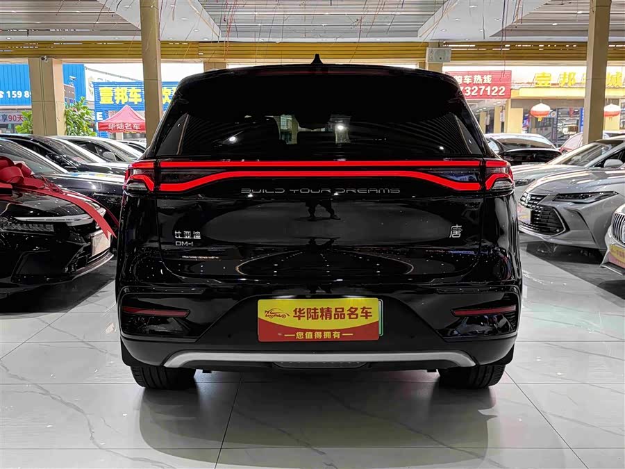 Tang New Energy 2023 DM-i Champion 112KM Honor - zdjęcie 5