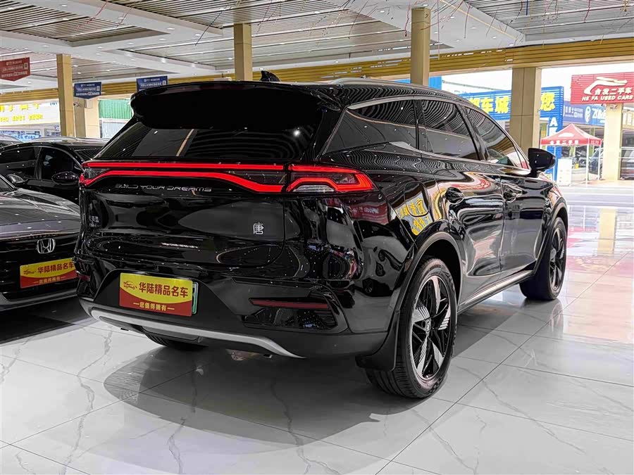 Tang New Energy 2023 DM-i Champion 112KM Honor - zdjęcie 6