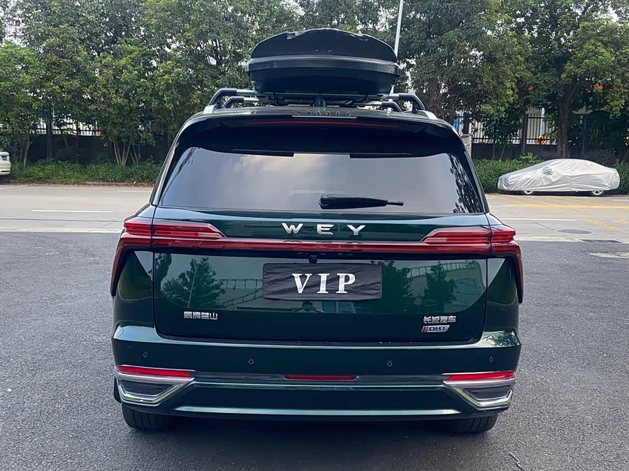 Weipai Blue Mountain 2023 4WD Long Range - zdjęcie 4