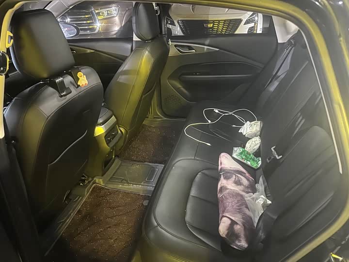 Wuling Xingguang 2024 Co-Creation Edition 150 Advanced - zdjęcie 17