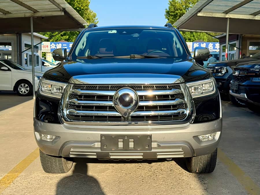 2021 2.0T Passenger Global Edition Auto Diesel 4WD Luxury Standard Box GW4D20M - zdjęcie 2