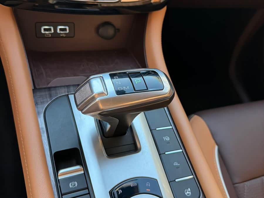 2021 2.0T Passenger Global Edition Auto Diesel 4WD Luxury Standard Box GW4D20M - zdjęcie 11