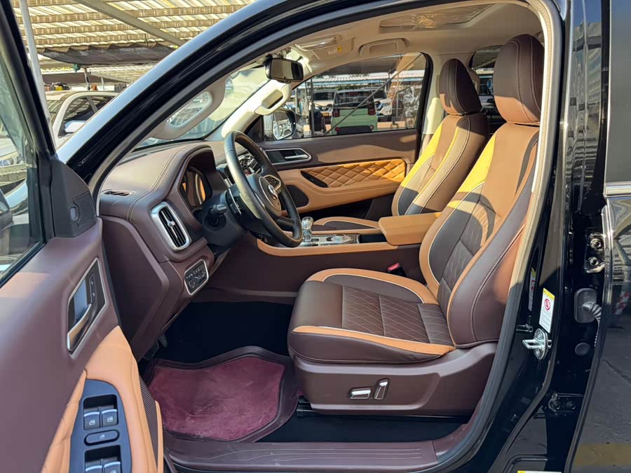2021 2.0T Passenger Global Edition Auto Diesel 4WD Luxury Standard Box GW4D20M - zdjęcie 12