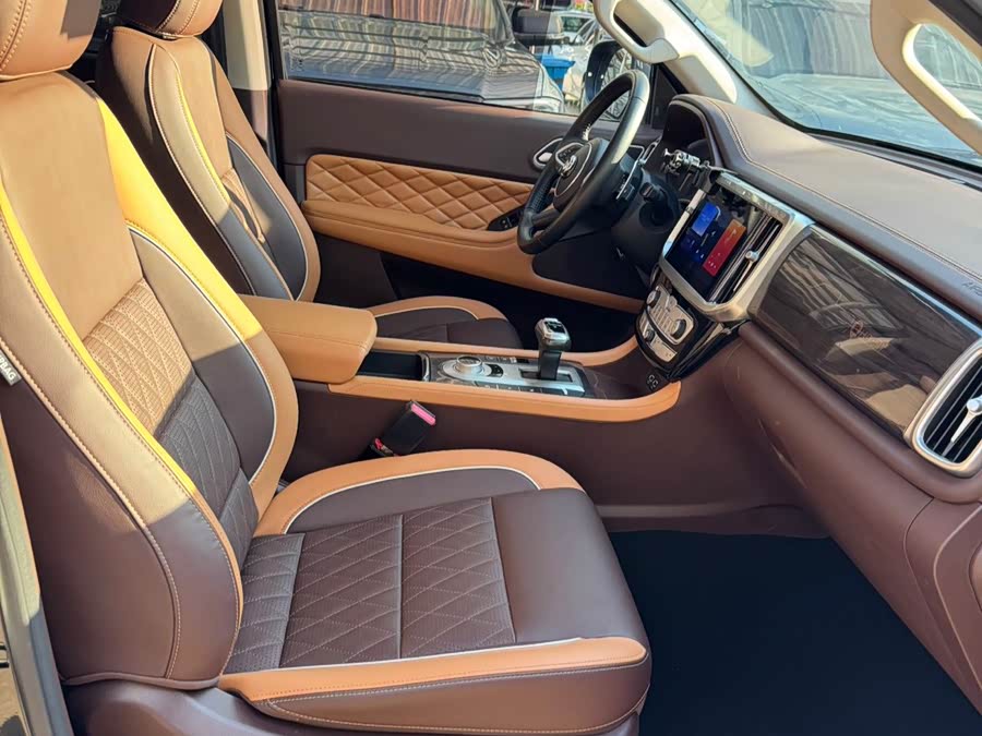 2021 2.0T Passenger Global Edition Auto Diesel 4WD Luxury Standard Box GW4D20M - zdjęcie 13