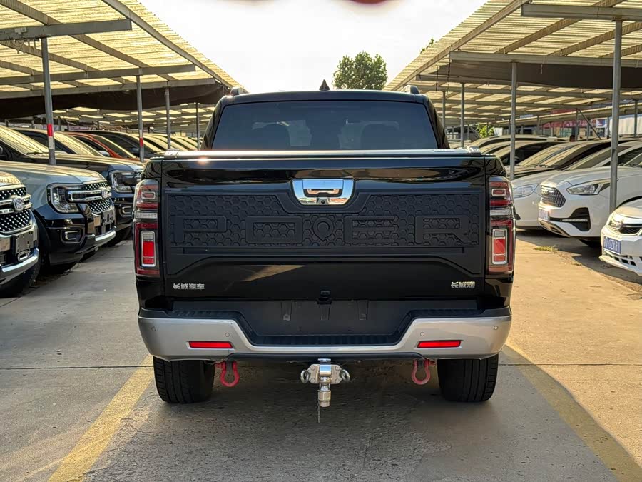 2021 2.0T Passenger Global Edition Auto Diesel 4WD Luxury Standard Box GW4D20M - zdjęcie 5