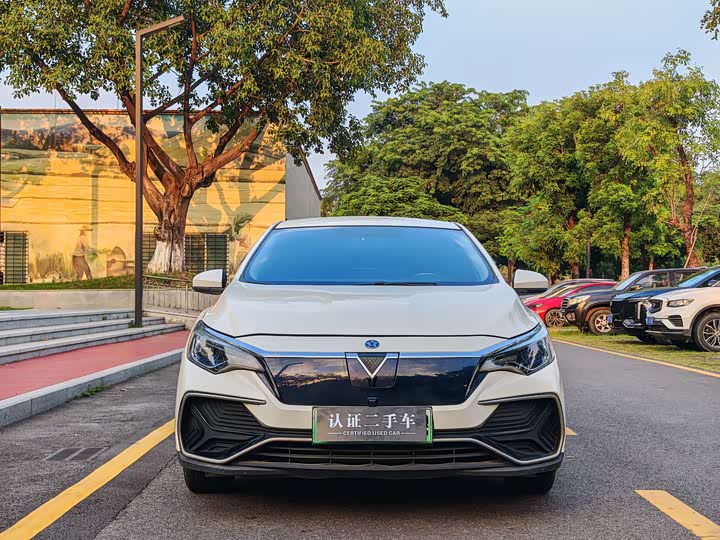 2022 D60EV Standard Range Comfort - zdjęcie 20