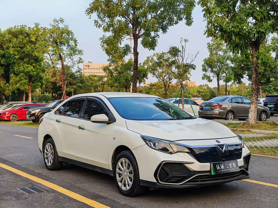 2022 D60EV Standard Range Comfort - zdjęcie 3