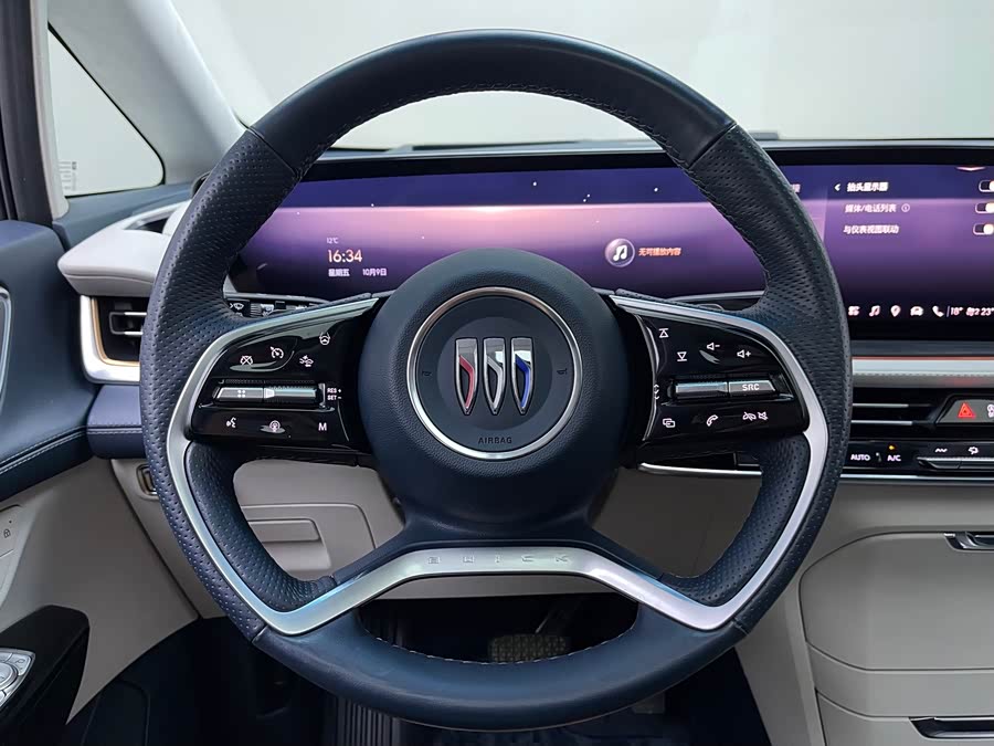 2023 2.0T 4-Seater Private Edition Co-branded High-end Series Ju Manqiu - zdjęcie 14