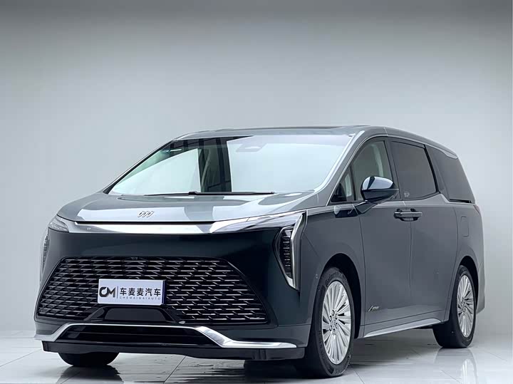 2023 2.0T 4-Seater Private Edition Co-branded High-end Series Ju Manqiu - zdjęcie 17