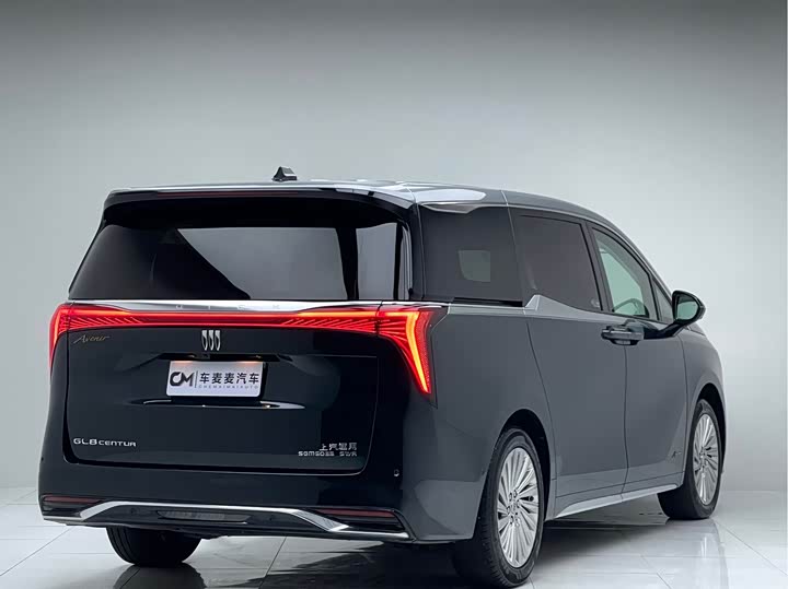 2023 2.0T 4-Seater Private Edition Co-branded High-end Series Ju Manqiu - zdjęcie 19