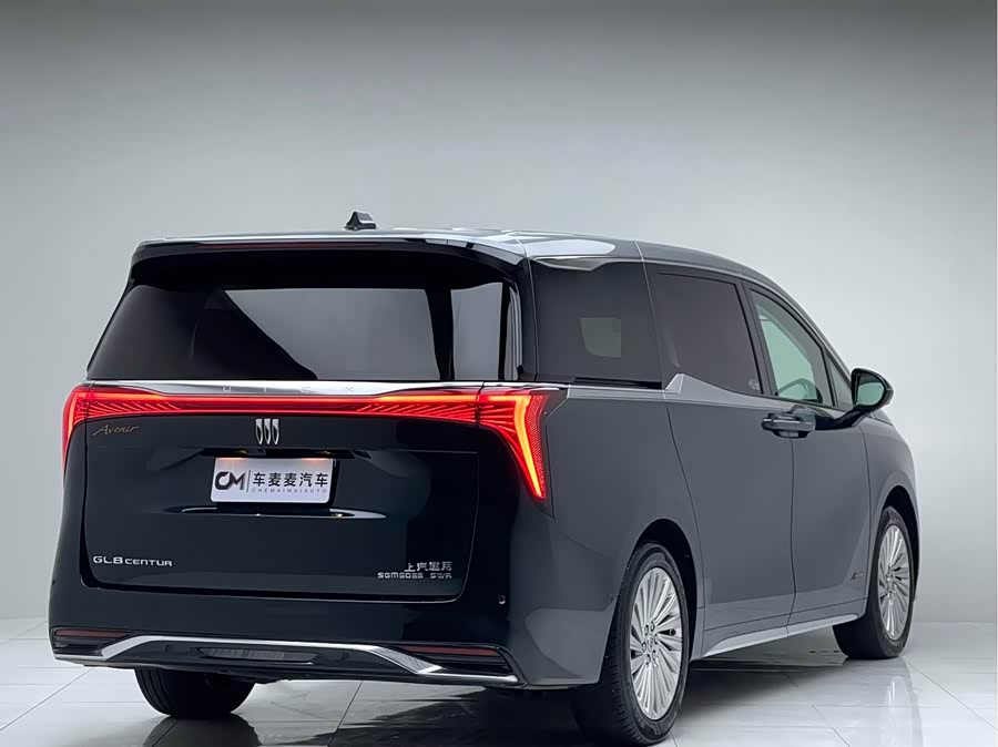 2023 2.0T 4-Seater Private Edition Co-branded High-end Series Ju Manqiu - zdjęcie 3
