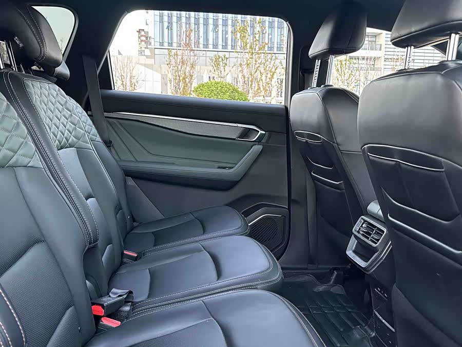 2023 2.0T DCT Luxury - zdjęcie 8