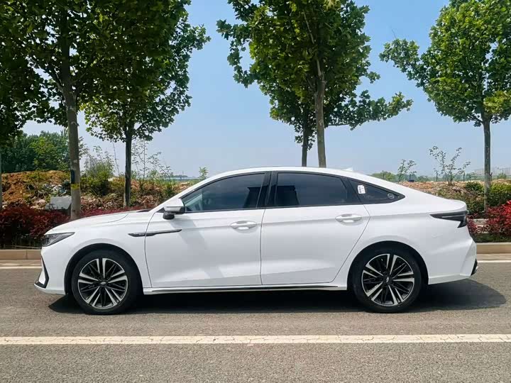 Ariya 8 2.0T DCT - zdjęcie 12