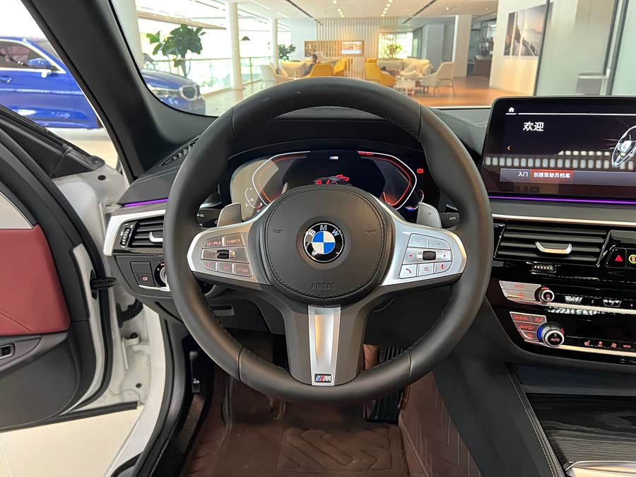 BMW 5 Series 2023 530Li Luxury M Sport Package - zdjęcie 8