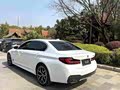 BMW 5 Series 2023 530Li Luxury M Sport - zdjęcie 16
