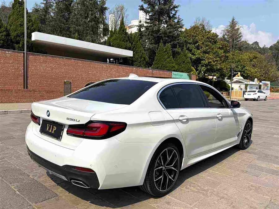BMW 5 Series 2023 530Li Luxury M Sport - zdjęcie 3
