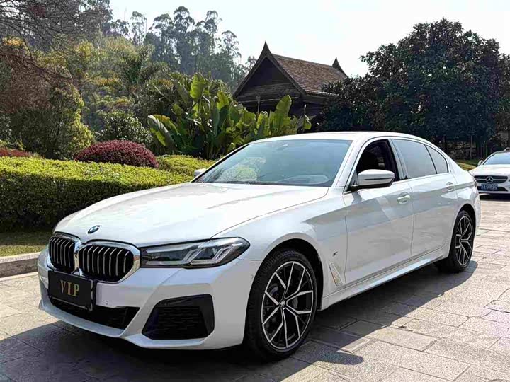 BMW 5 Series 2023 530Li Luxury M Sport - zdjęcie 7