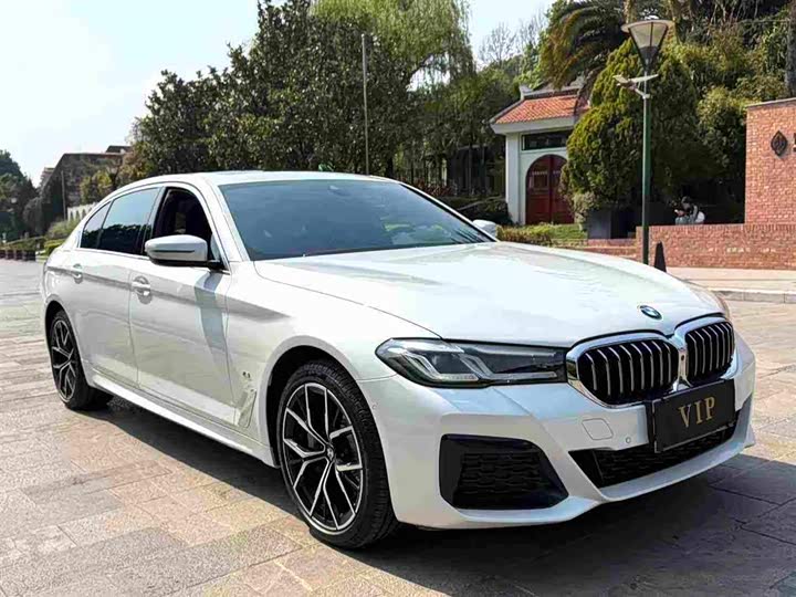 BMW 5 Series 2023 530Li Luxury M Sport - zdjęcie 8