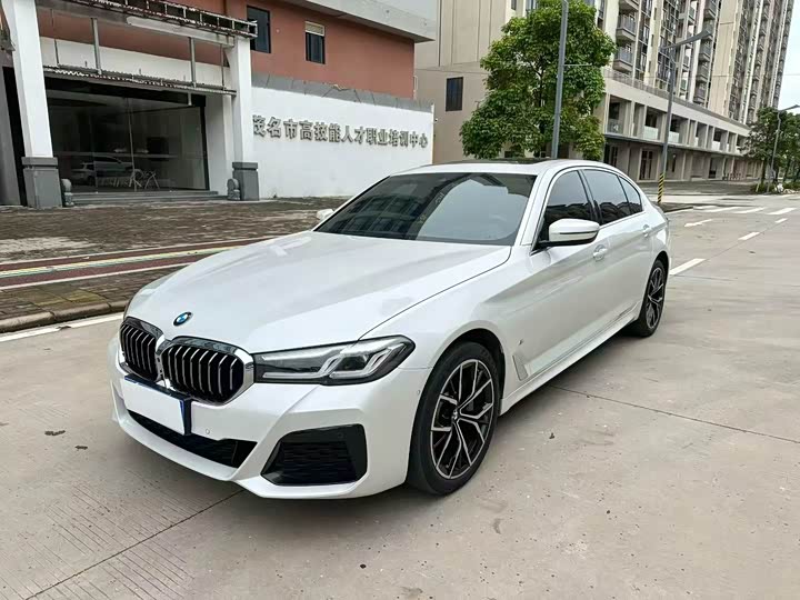 BMW 5 Series 2023 530Li Luxury M Sport - zdjęcie 9