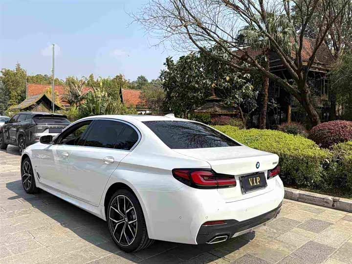 BMW 5 Series 2023 530Li Luxury M Sport - zdjęcie 10