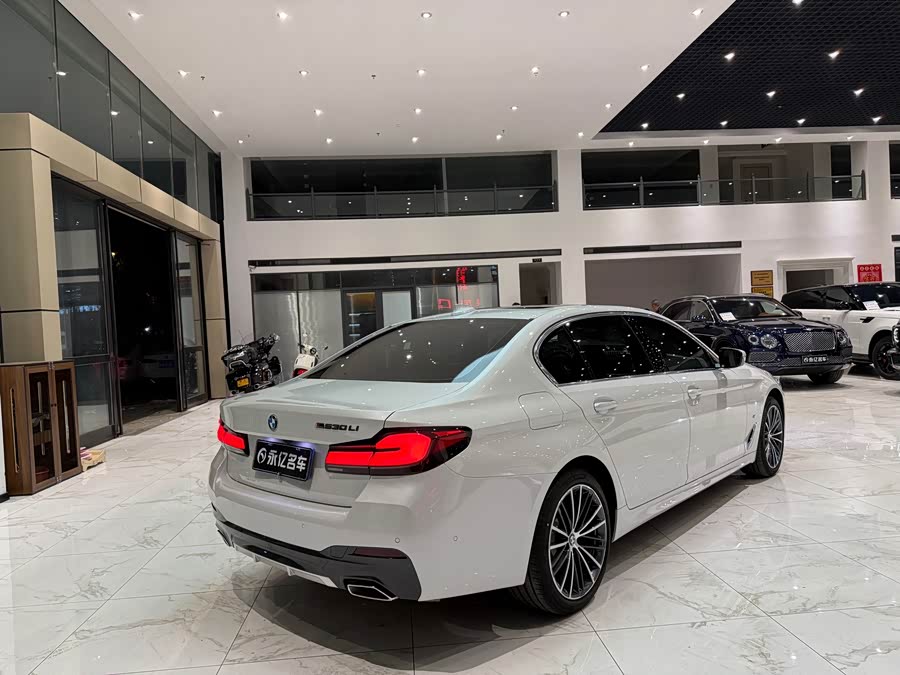 BMW 5 Series 2024 530Li Leading M Sport Package - zdjęcie 17