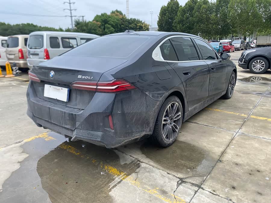 BMW 5 Series 2025 530Li Leading M Sport Package - zdjęcie 8