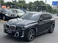 BMW X5 2023 xDrive 30Li Luxury M Sport Package - zdjęcie 19