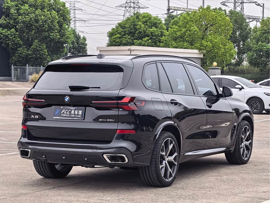 BMW X5 2023 xDrive 30Li Luxury M Sport Package - zdjęcie 5