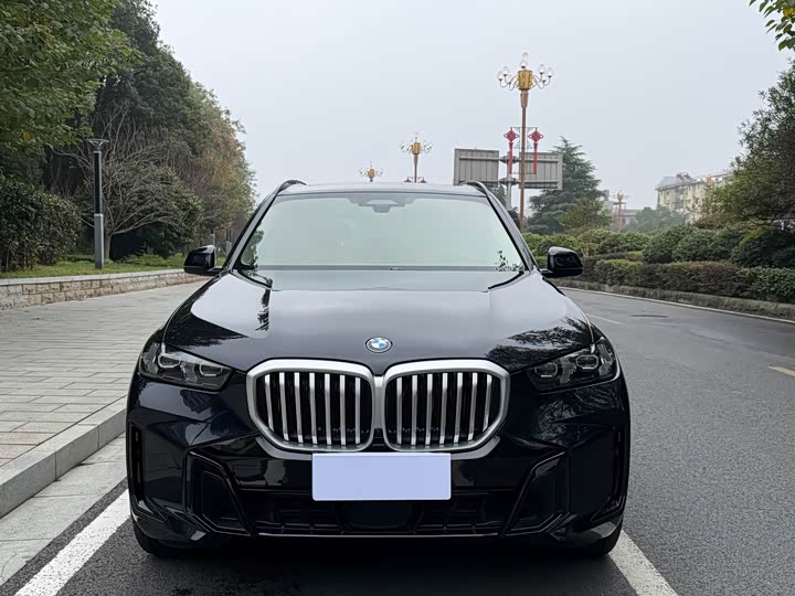 BMW X5 2026 xDrive 30Li Luxury M Sport Night Package - zdjęcie 12