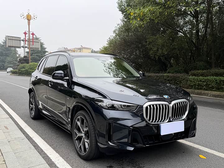 BMW X5 2026 xDrive 30Li Luxury M Sport Night Package - zdjęcie 13