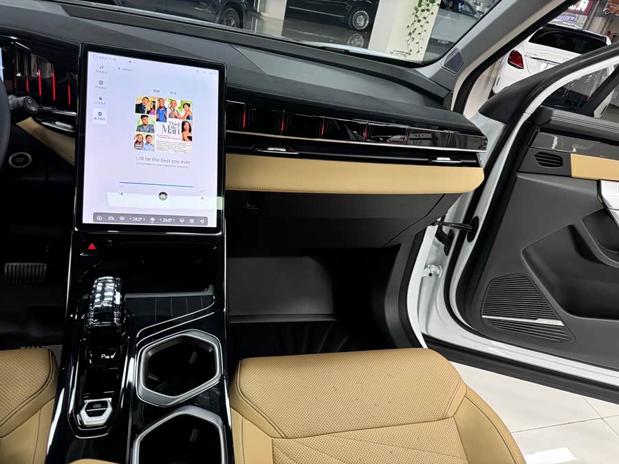 Boyue L 2023 1.5TD DCT Premium - zdjęcie 12