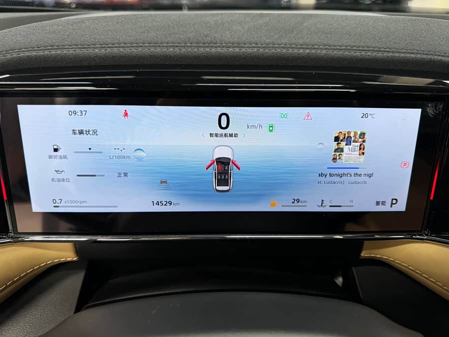 Boyue L 2023 1.5TD DCT Premium - zdjęcie 10