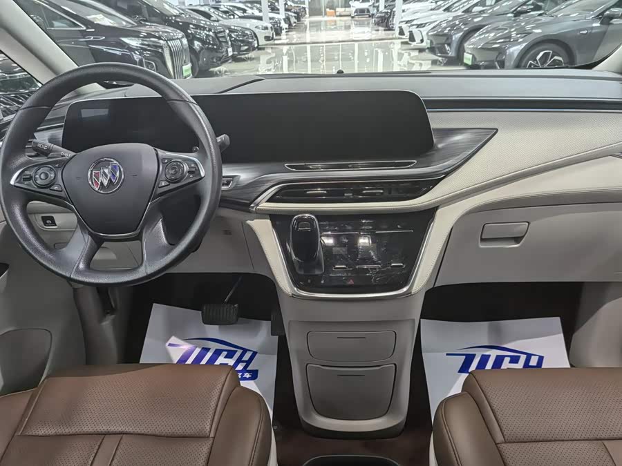 Buick GL8 2023 ES Luxury - zdjęcie 14