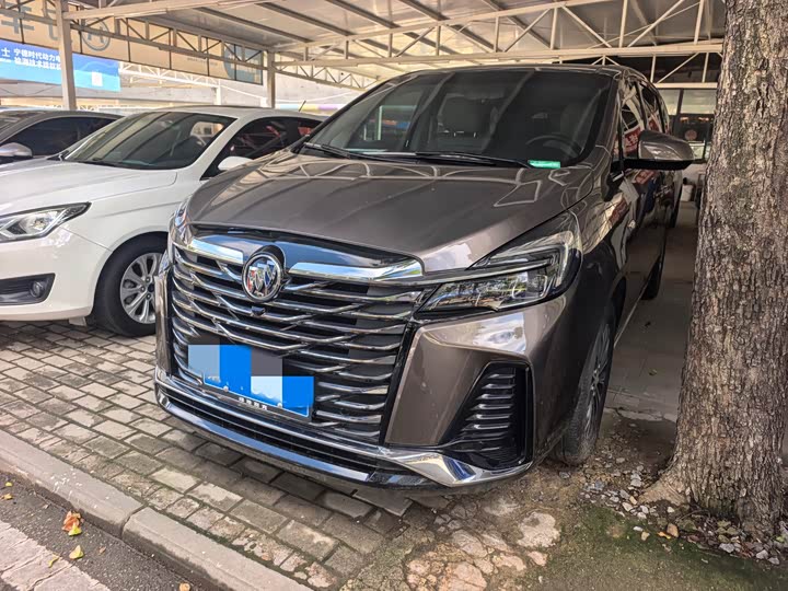 Buick GL8 2023 Land Business Class 652T Luxury - zdjęcie 13