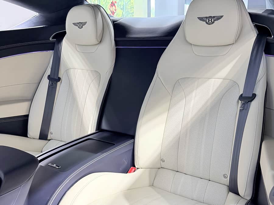 Continental 2022 4.0T GT V8 - zdjęcie 13
