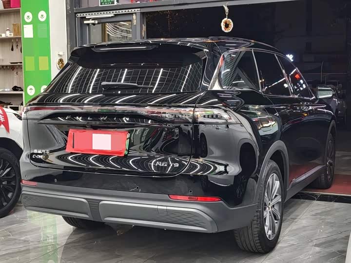Fengyun T9 2025 120 Long Range Luxury 5-Seater - zdjęcie 19