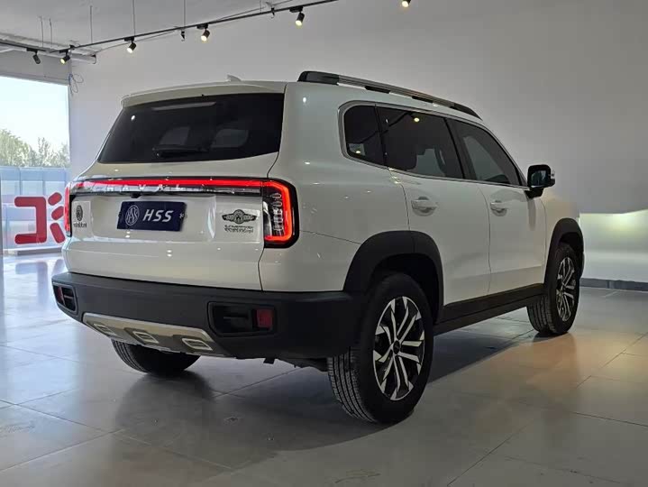 Great Wall Dog 2024 1.5T DCT Border Collie - zdjęcie 16