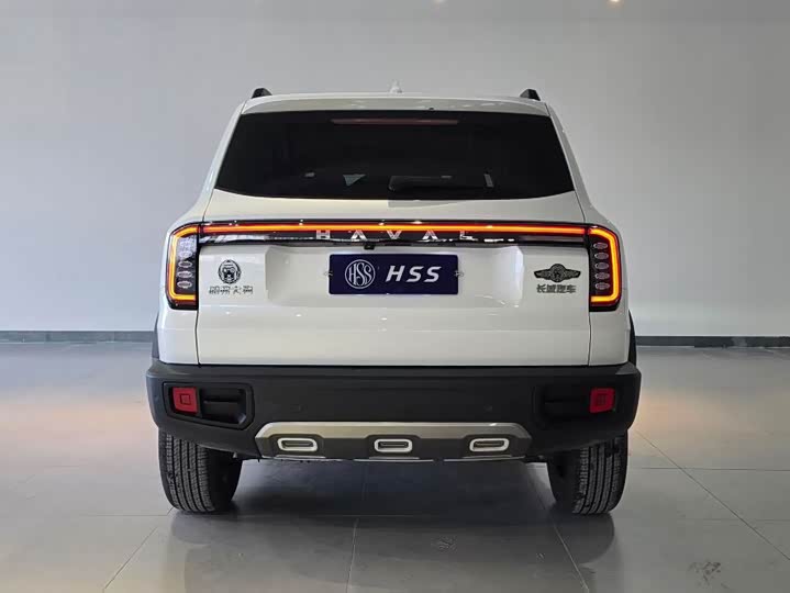 Great Wall Dog 2024 1.5T DCT Border Collie - zdjęcie 17