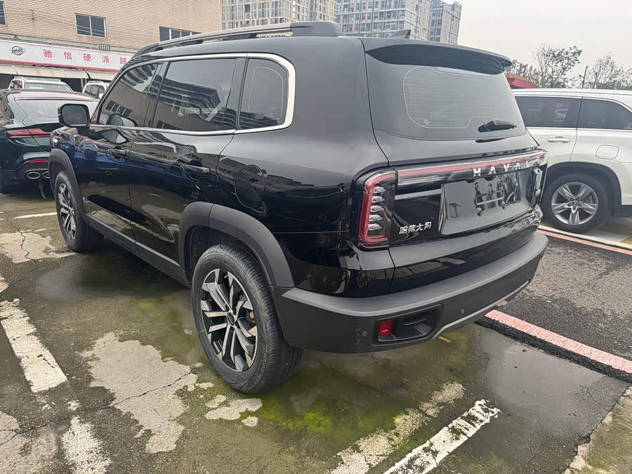 Great Wall Dog 2024 1.5T DCT Labrador - zdjęcie 14