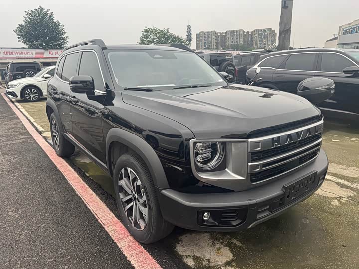 Great Wall Dog 2024 1.5T DCT Labrador - zdjęcie 19