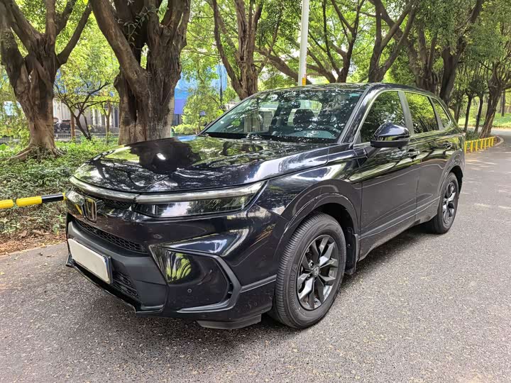 Haoying 2023 240TURBO Two-Wheel Drive Luxury Version PRO 7-Seater - zdjęcie 20