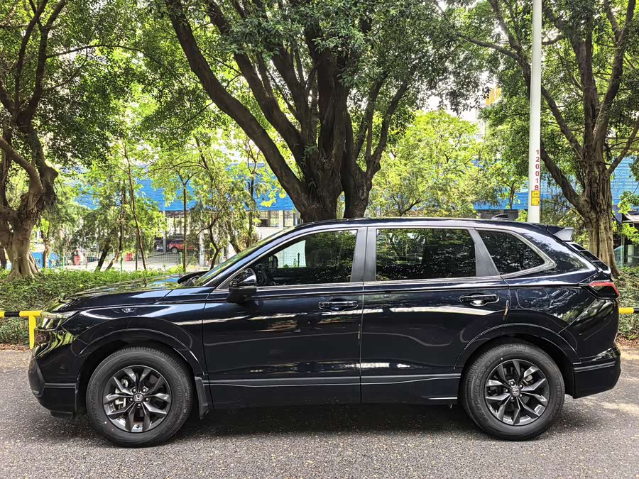 Haoying 2023 240TURBO Two-Wheel Drive Luxury Version PRO 7-Seater - zdjęcie 3