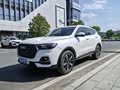 Haval H6 2023 National Trend 1.5T Auto Champion - zdjęcie 19