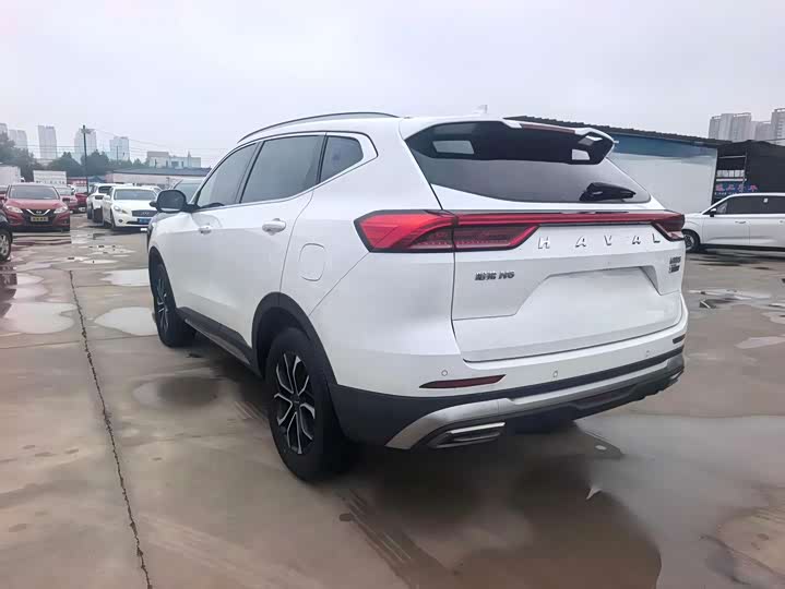 Haval H6 2023 National Trend Edition 1.5T Automatic Urban Version - zdjęcie 15